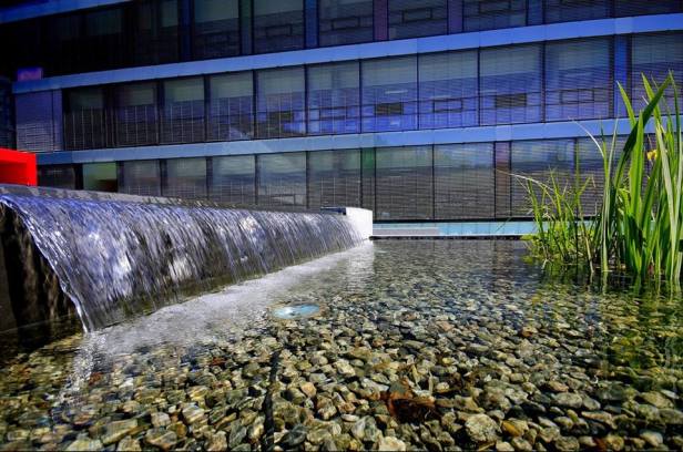 18813539_10154469807131389_4556243509456828216_n